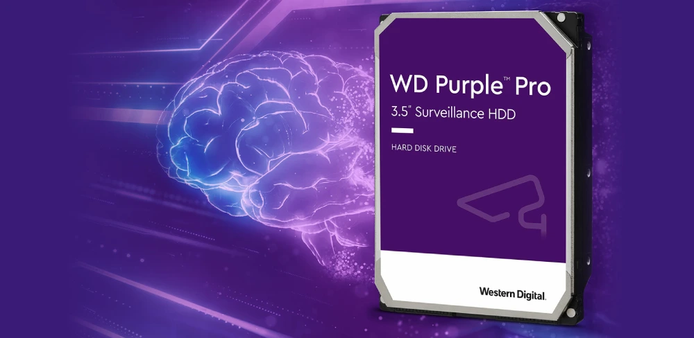 Purple Pro Brain Image